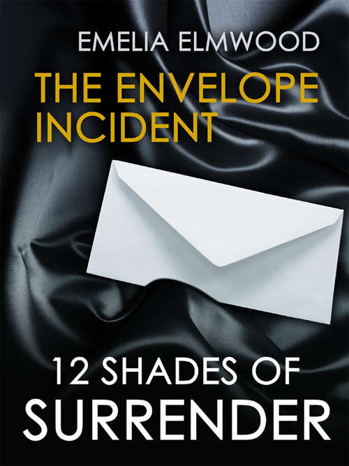 Book cover of The Envelope Incident
