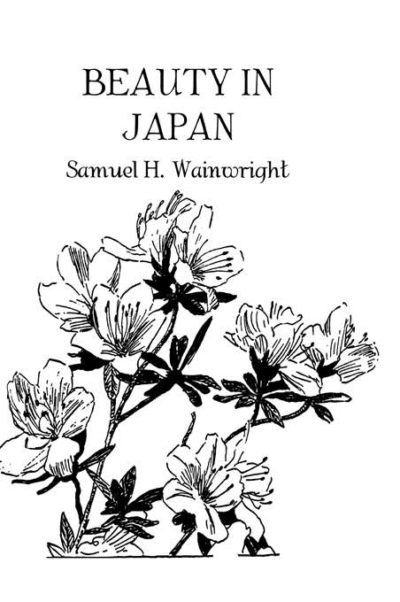 Book cover of Beauty In Japan