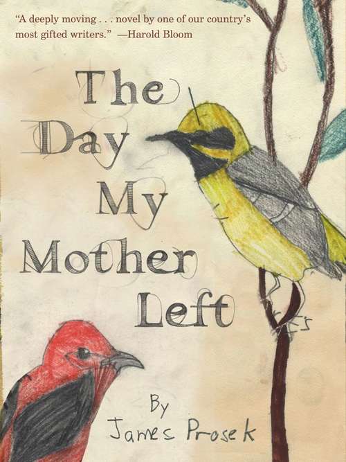 Book cover of The Day My Mother Left