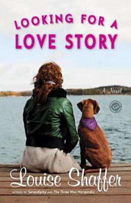 Book cover of Looking for a Love Story: A Novel