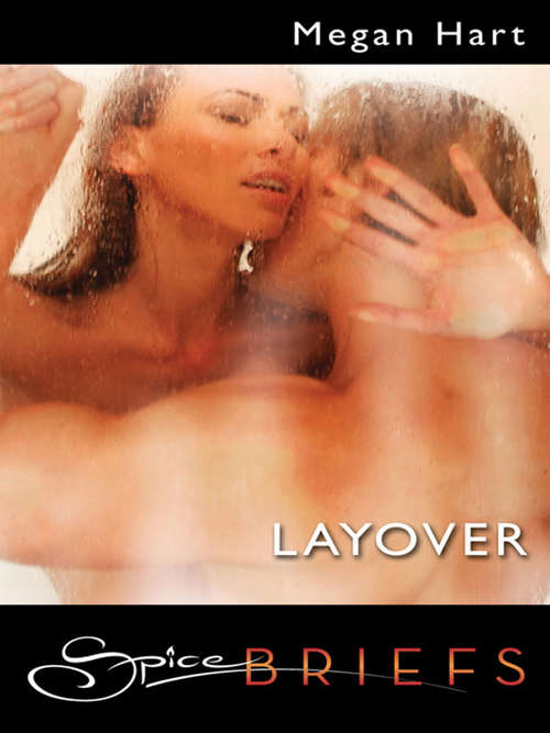 Book cover of Layover