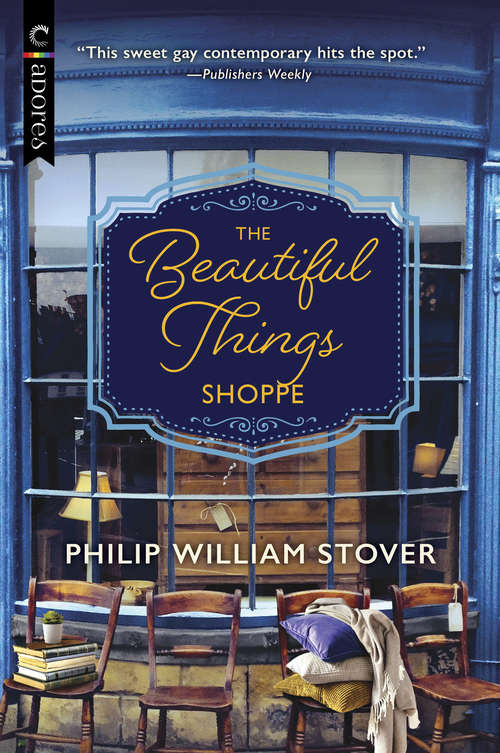 Book cover of The Beautiful Things Shoppe (Original) (Seasons of New Hope #2)