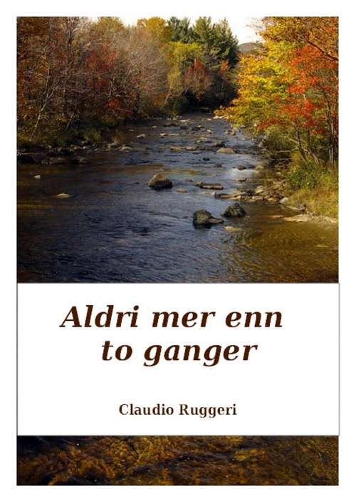Book cover of Aldri mer enn to ganger
