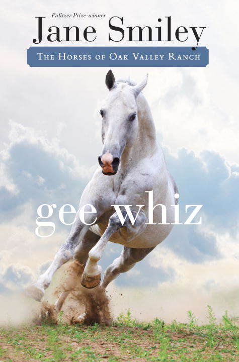 Book cover of Gee Whiz