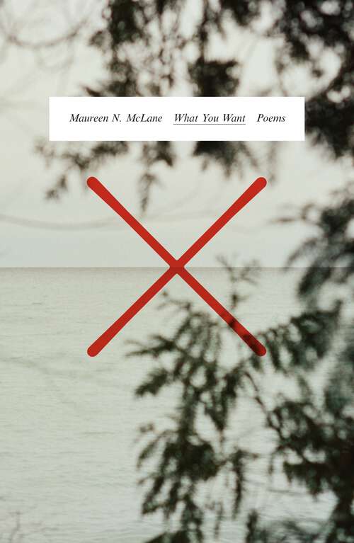 Book cover of What You Want: Poems