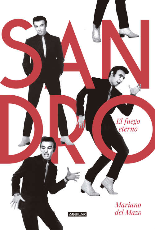 Book cover of Sandro. El fuego eterno
