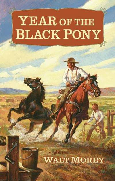 Book cover of Year of the Black Pony