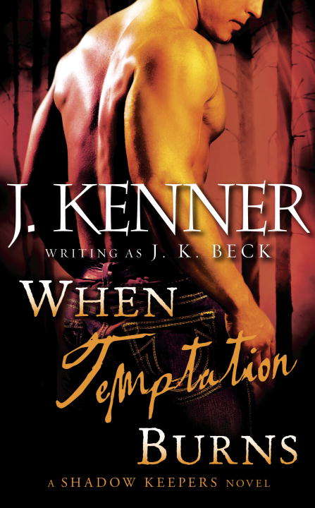 Book cover of When Temptation Burns (Shadow Keepers #6)