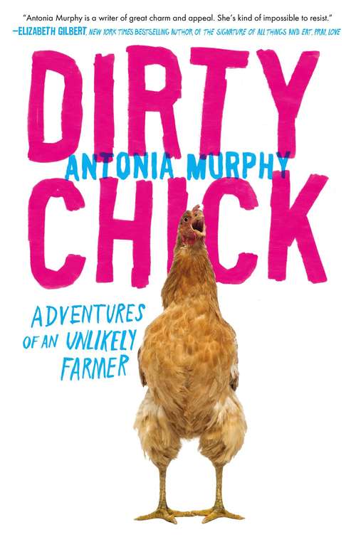 Book cover of Dirty Chick