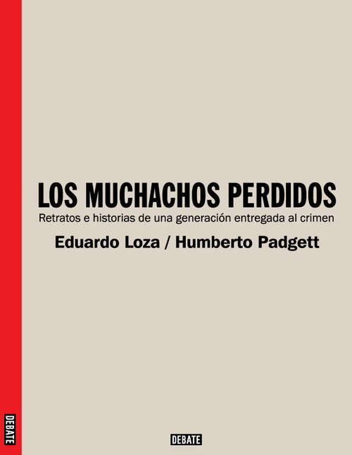 Book cover of Los muchachos perdidos