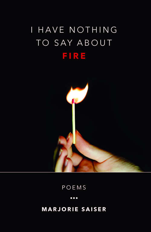 Book cover of I Have Nothing to Say about Fire