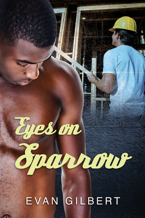 Book cover of Eyes on Sparrow