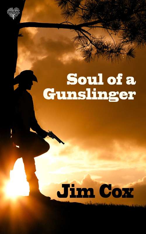Book cover of Soul of a Gunslinger