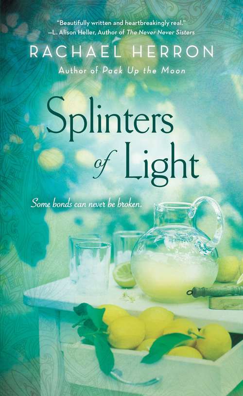 Book cover of Splinters of Light