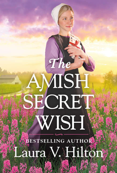 The Amish Secret Wish (Hidden Springs #3)