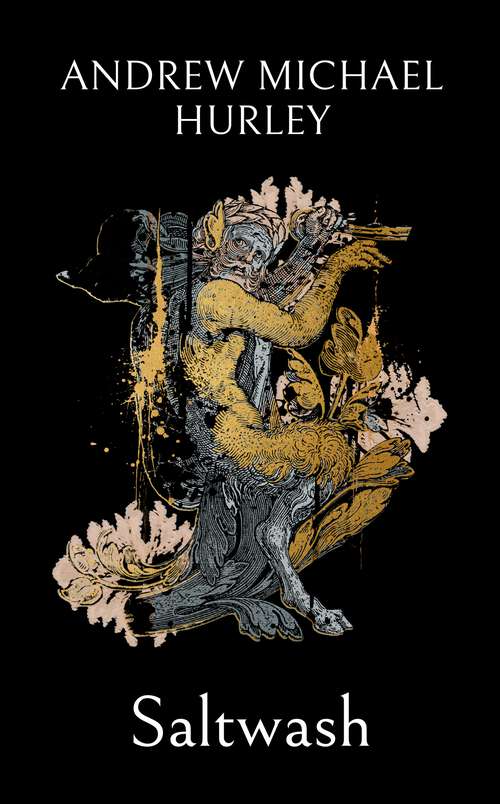 Book cover of Saltwash: The chilling new novel from the 'master of menace'