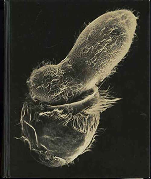 Book cover of Life On Earth