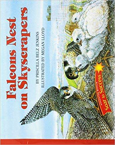 Book cover of Falcons Nest on Skyscrapers