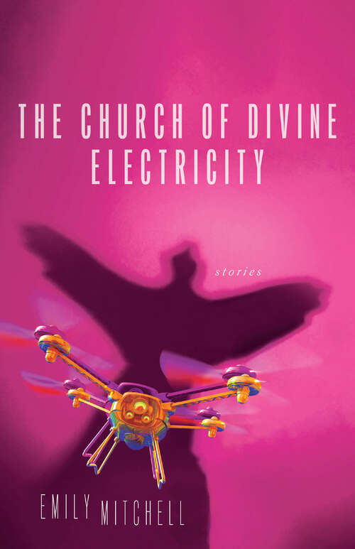 Book cover of The Church of Divine Electricity