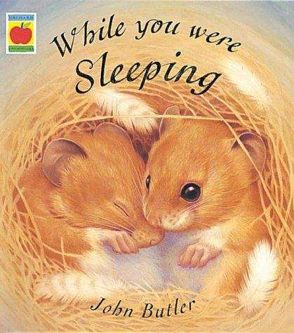 While you were sleeping (Orchard Picturebooks Ser.)