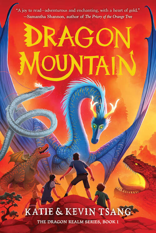 Book cover of Dragon Mountain (Dragon Realm #1)