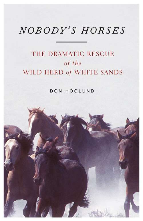 Book cover of Nobody's Horses: The Dramatic Rescue of the Wild Herd of White Sands
