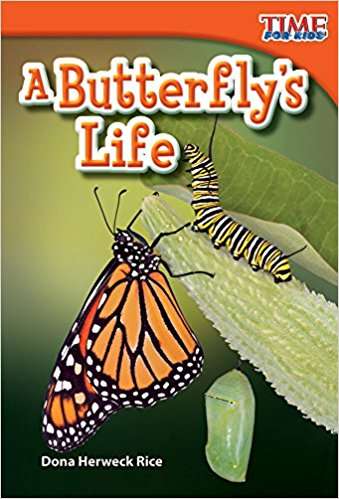 Book cover of A Butterfly's Life