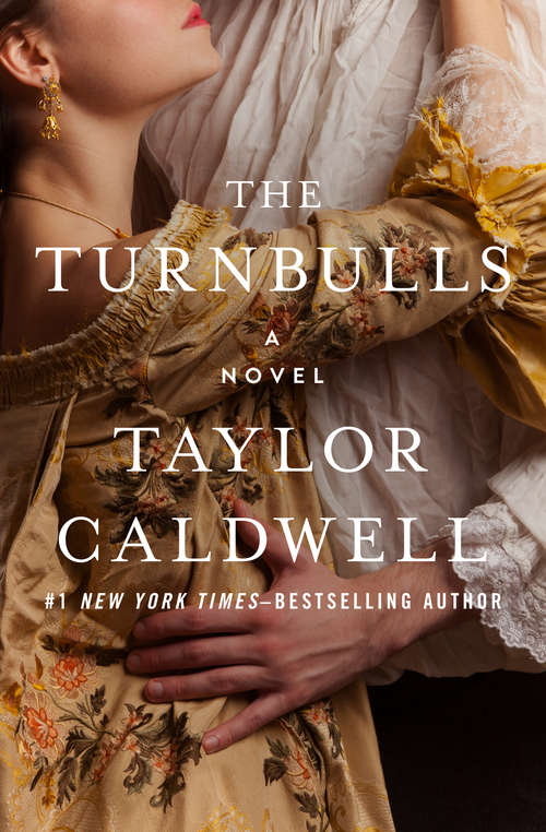 Book cover of The Turnbulls: A Novel