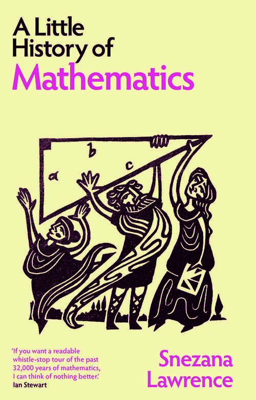 Book cover of A Little History of Mathematics (Little Histories)