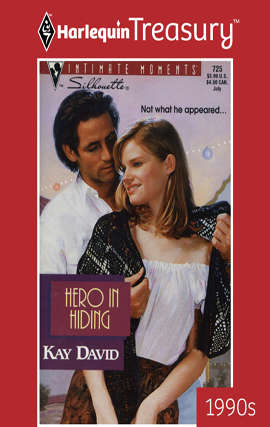 Book cover of Hero in Hiding