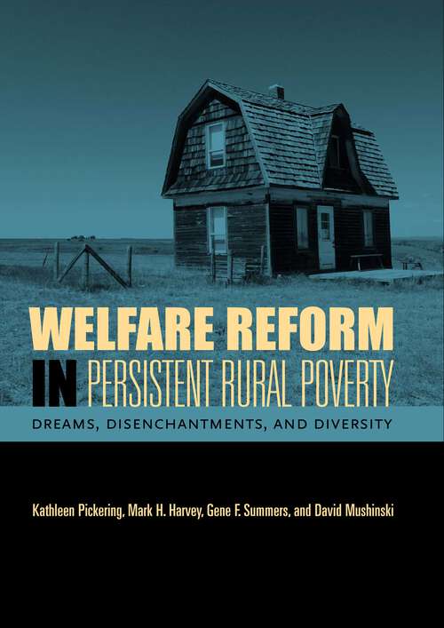 Book cover of Welfare Reform in Persistent Rural Poverty: Dreams, Disenchantments, and Diversity (Rural Studies)