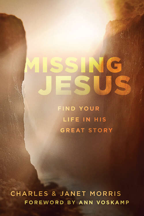 Missing Jesus: Find Your Life in His Great Story