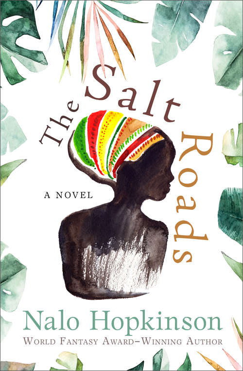 Book cover of The Salt Roads