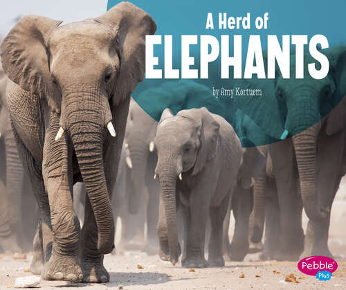 Book cover of A Herd of Elephants (Animal Groups Ser.)