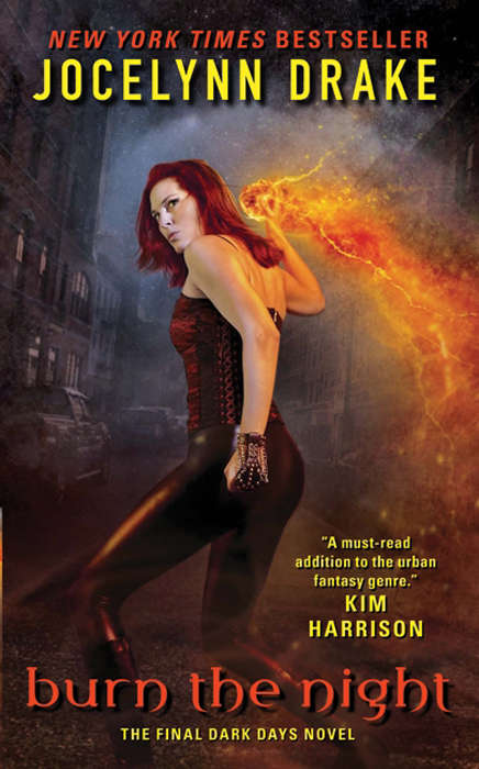 Book cover of Burn the Night