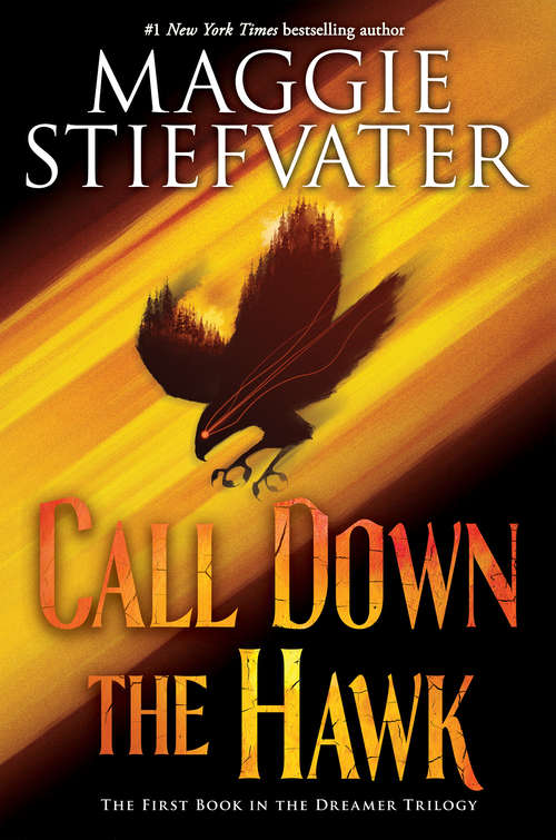 Book cover of Call Down the Hawk (The Dreamer Trilogy #1)