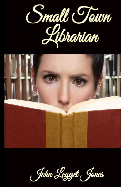 Book cover of Small Town Librarian