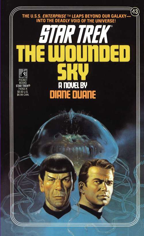 The Wounded Sky (Star Trek: Vanguard  #13)