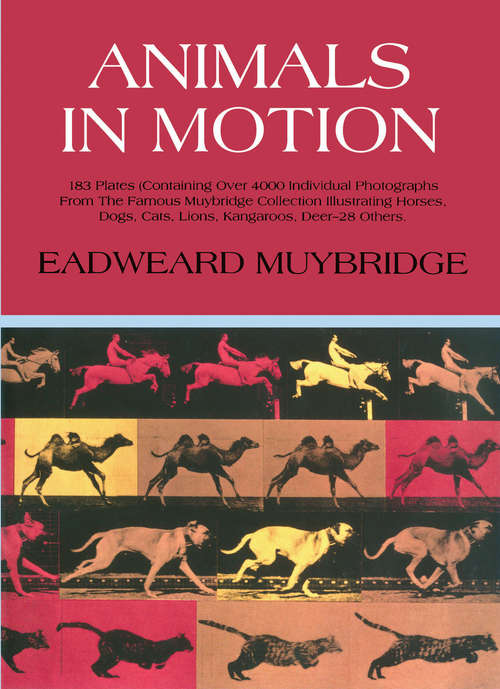 Book cover of Animals in Motion