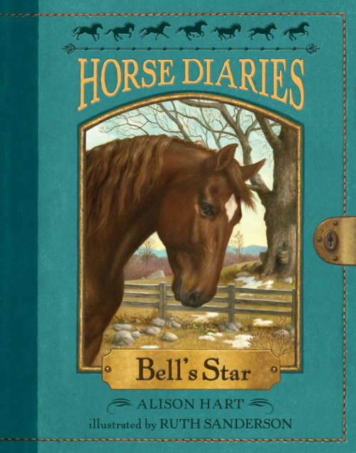 HORSE DIARIES: Bell's Star