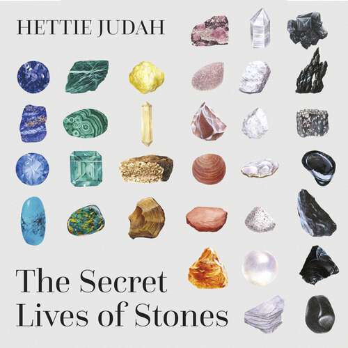 Book cover of The Secret Lives of Stones: 'A real cabinet of curiosities' SUNDAY TIMES