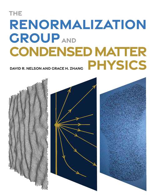 Book cover of The Renormalization Group and Condensed Matter Physics