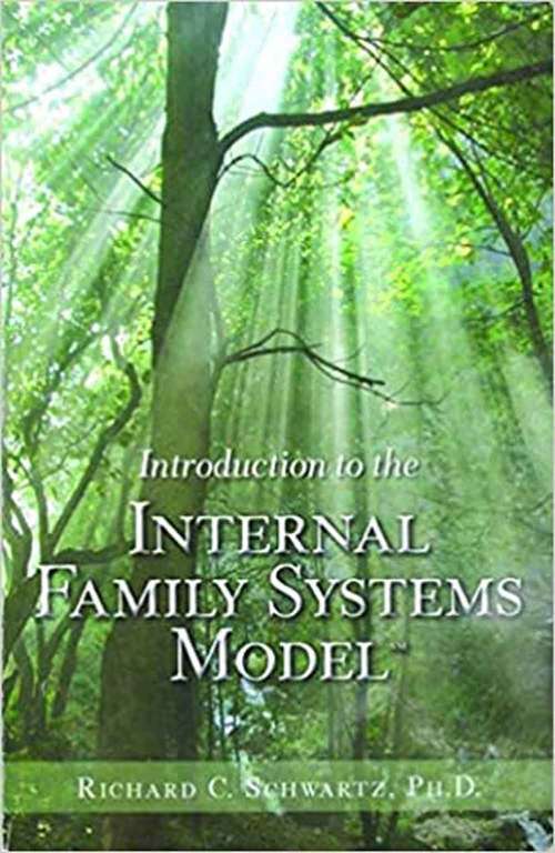 Book cover of Introduction To The Internal Family Systems Model
