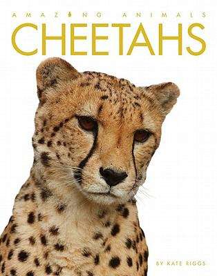 Cheetahs (Amazing Animals)