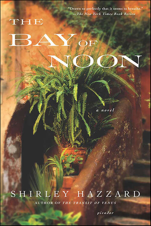 Book cover of The Bay of Noon: A Novel