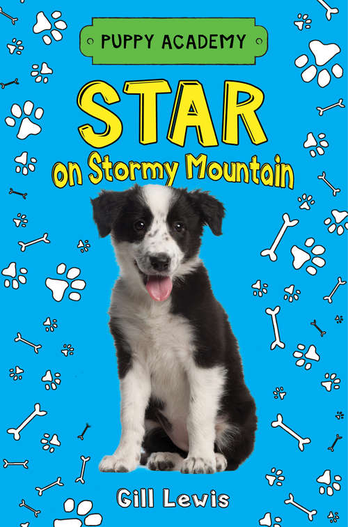 Star on Stormy Mountain