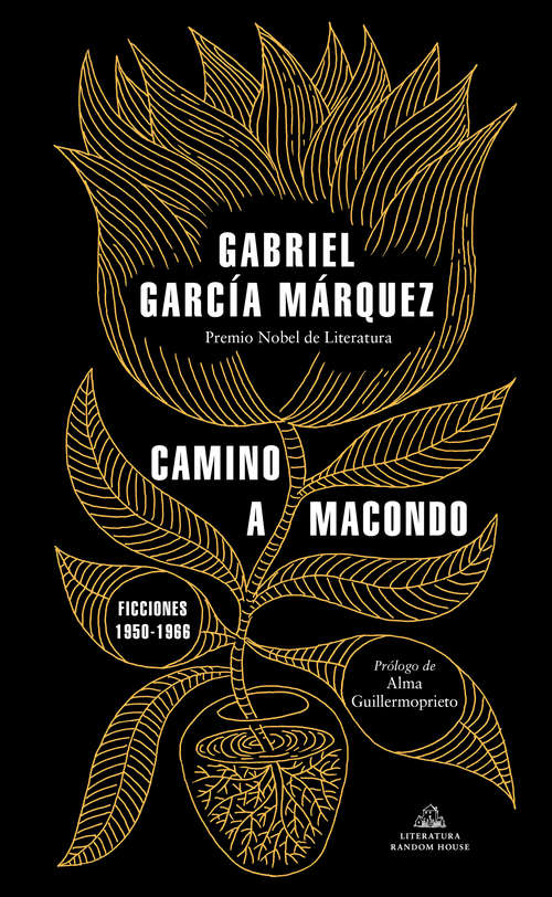 Book cover of Camino a Macondo