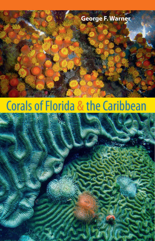 Book cover of Corals of Florida and the Caribbean
