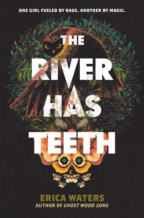 Book cover of The River Has Teeth