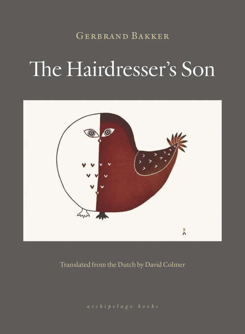 Book cover of The Hairdresser’s Son